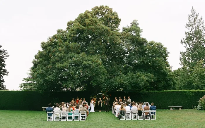 Full ceremony under the tree