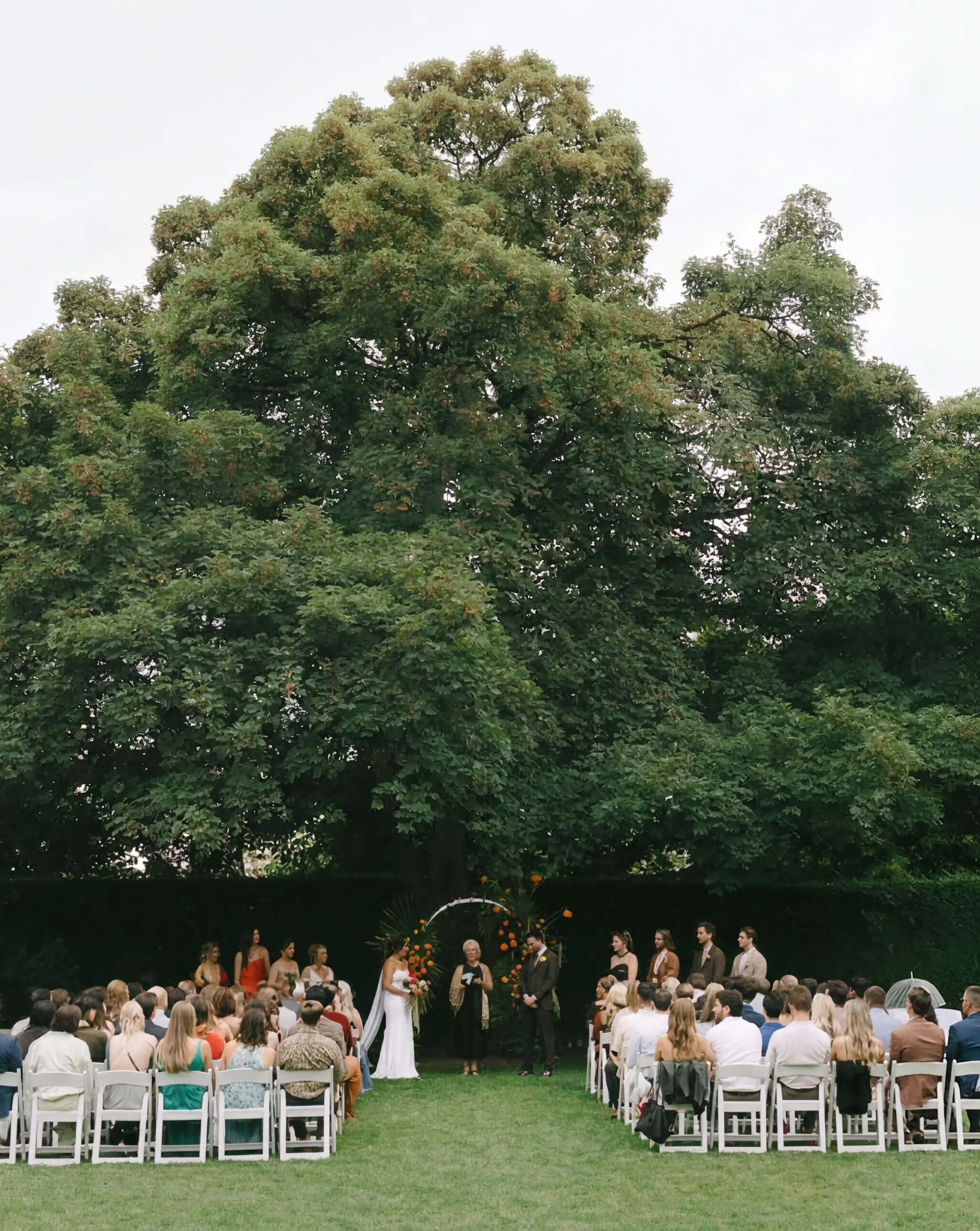 Ceremony under the ancient tree